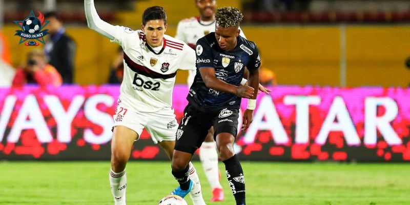 Bức tranh phong độ hiện tại của Ind. del Valle vs Flamengo RJ